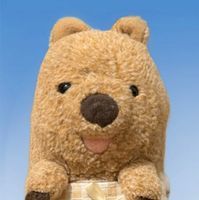 ウォンちゃん(3歳)