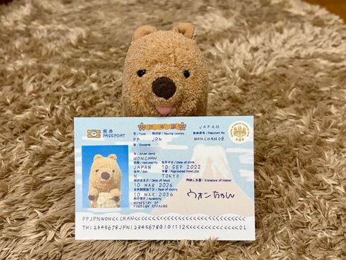 みてみてっ
ｵｲﾗのパスポートだよっ( ´ᴥ` )✈️