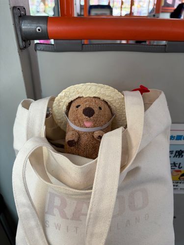 おでかけ🎶おでかけ🎶