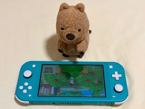 ぬいホリ行きたかったなあ....т т（人間が体調不良で行けず....）