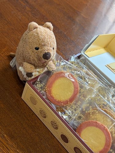 おみやげ もらたよぉ( ´ᴥ` )
ぽんちゃん ありがとう