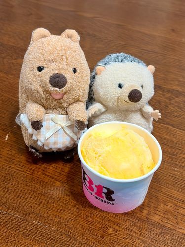 さーちーわんっ🍨♡
ぽんちゃ と いっしょに たべるよ( ´ᴥ` )