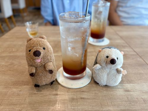 てぃーそだっ!!だよ
しゅわしゅわだけど、お紅茶なんだよお( ´ᴥ` )🫧🫖ふしぎだねえ