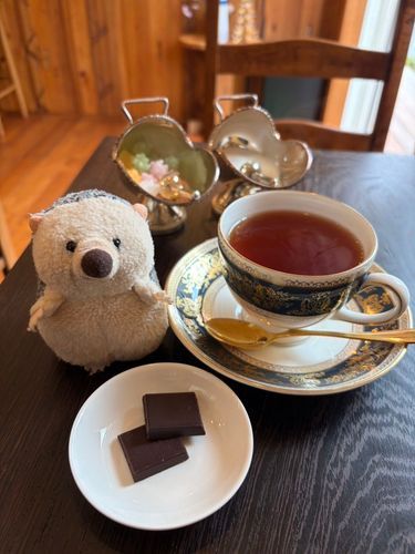きょうわっ ｵｲﾗがっ めいんのっ おしゃしんのせぢゃうよお！🦔
ちょこなら なんこでも たべられちゃうな"ー！

※ぽんちゃんはダミ声です。