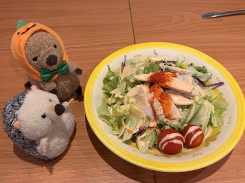 もっちさんがだいすきな、ちきんのさらだ だよお🥗✨️この どれっしんぐ が ぜつみょーで おいちいの！( ´ᴥ` )