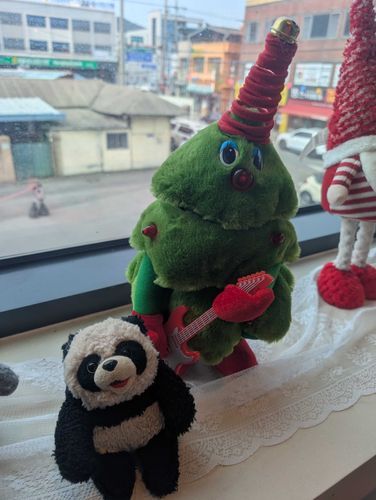 かんこくでの写真だよ〜。
こちらはようきなクリスマスツリーさん。ちょっとうれいをおびた表情をしているよ。
なにがあったのかは聞かなかった。
ただそこにいるだけで、すくいになっていたら……うれしいよね。

いつかまたあおうね。やくそくだよ〜。