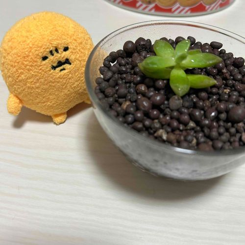 おみず　たくさんのみな
