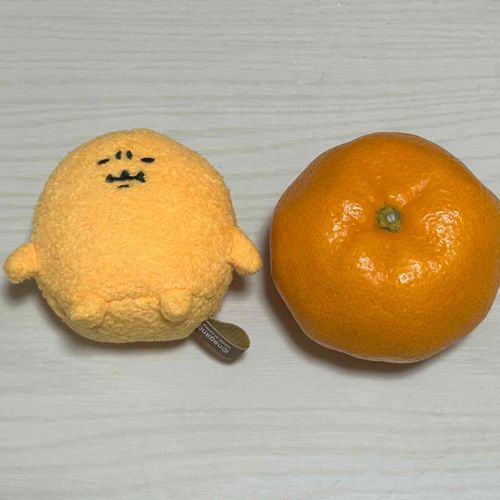 ど〜〜っち　だ