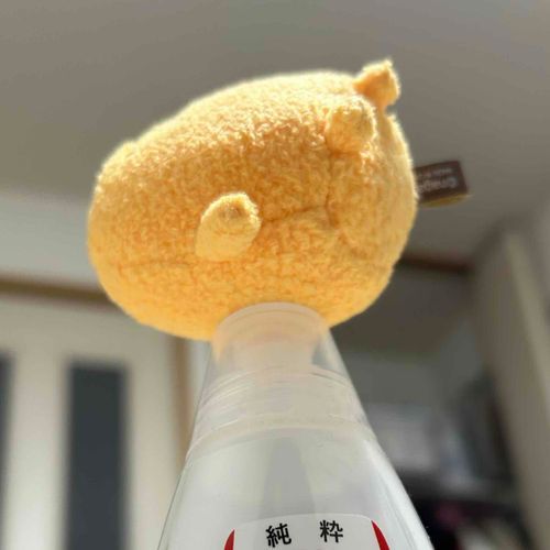 たねも　しかけも　ございません　なんかいも　おちたけど