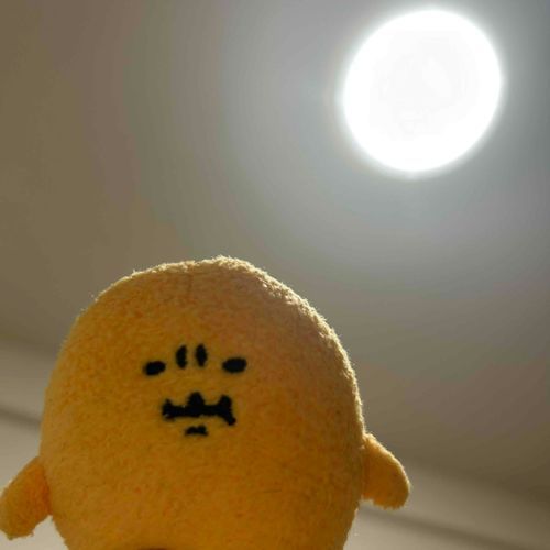 にせんにじゅうよねん　なんだかいそがしい　けど　かわらずえがおを　れんしゅうする