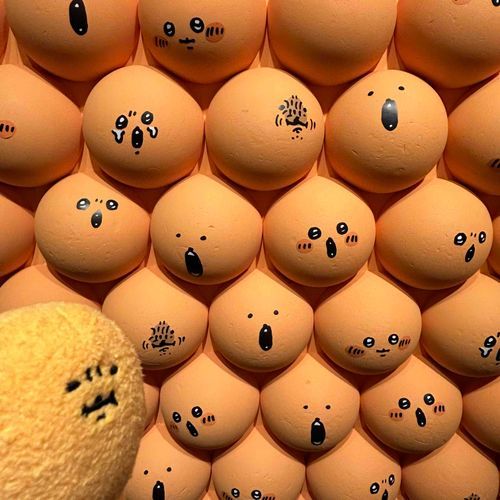 なかま　いっぱいいた