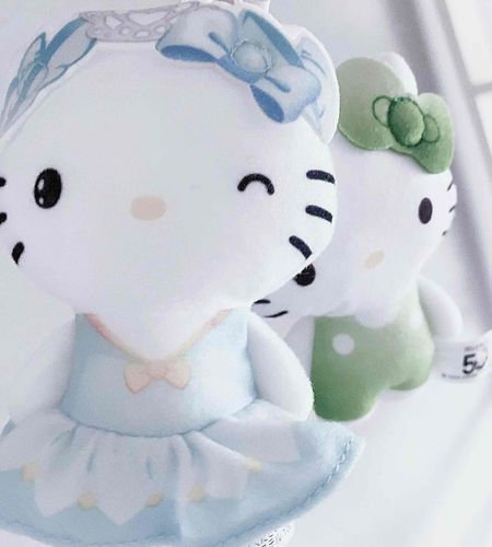 ﾐ・◦・ﾐ