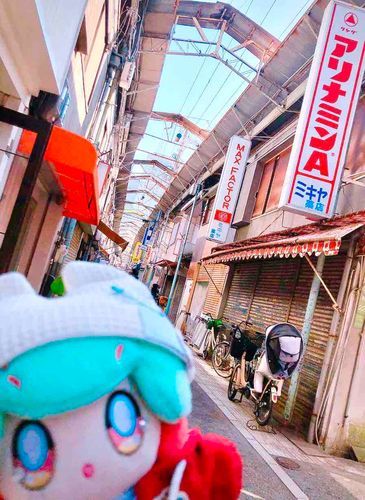 いい天気〜☀️