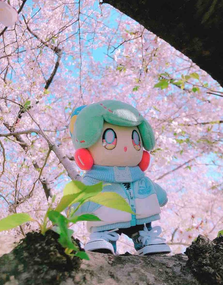桜みてきたよ〜🌸