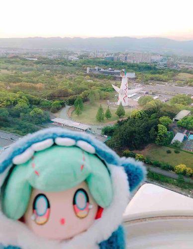 あれはタイヨーノトーです。4日ぶりに会いました☀️
