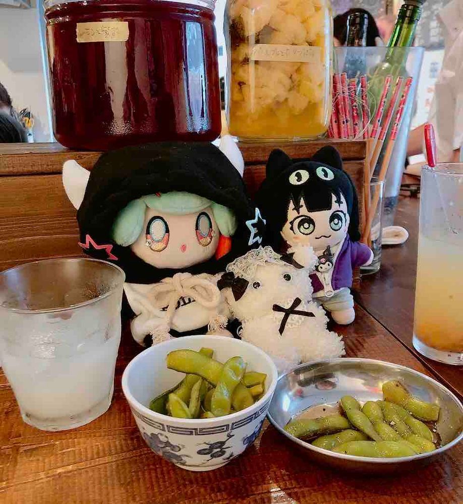 ぽぽぽって名前のごはん屋さんに来たよ〜POPUPショップにぬいの管理人も参加してるから、おうえんしにきた！🍚