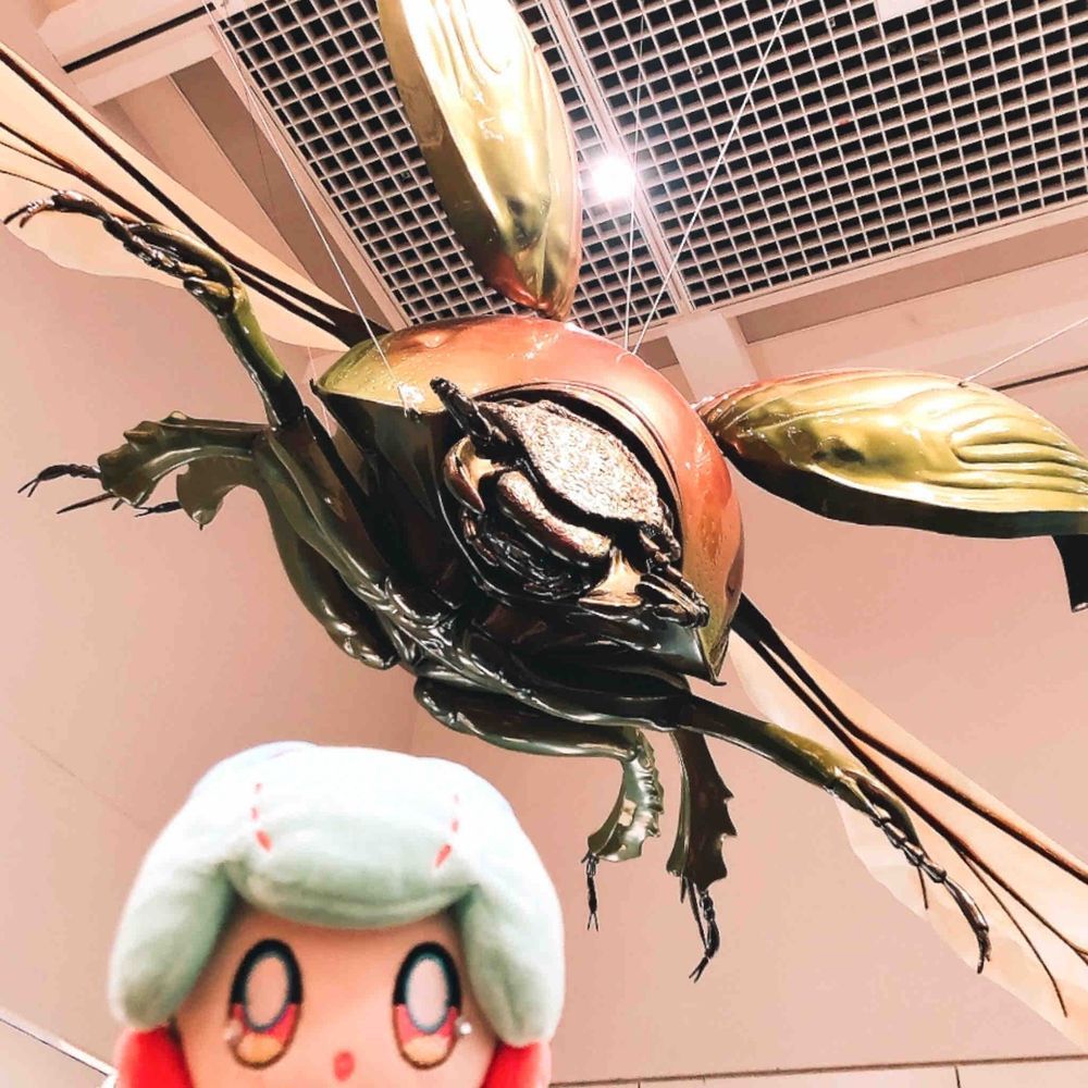 昆虫まにあっくに行ってきたよー！ぬこくんこの展示楽しみにしてたんだ…！すごい虫がいっぱい！たのしー！🦋🪲🐝