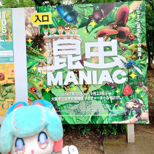 昆虫まにあっくに行ってきたよー！ぬこくんこの展示楽しみにしてたんだ…！すごい虫がいっぱい！たのしー！🦋🪲🐝