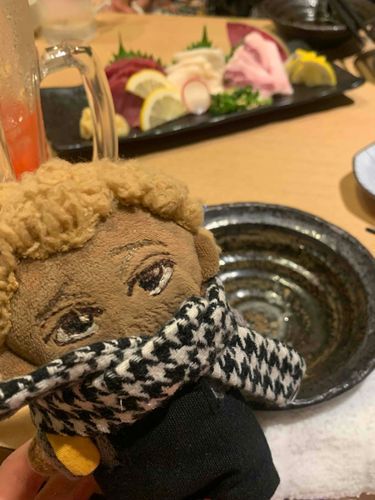 チッタぬも気になる？🐴