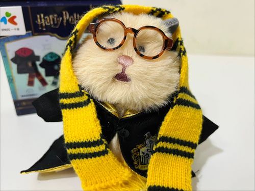 Hufflepuff💛
