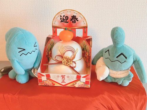 新年ナノ