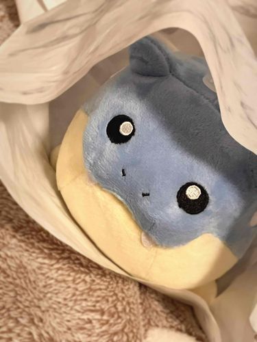 新入りです
明日は挨拶回りだよ