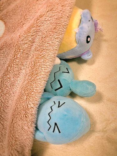 ここはこたつ
