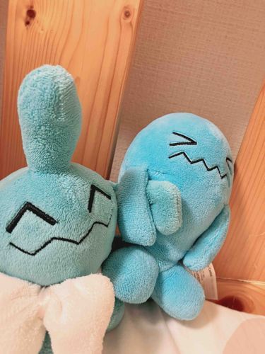 おうちに来たばかりのころ、ソーナンスはこの隙間から落ちてしまったことがあり
それからは落ちないようにソーナノと手を繋いでから寝ています