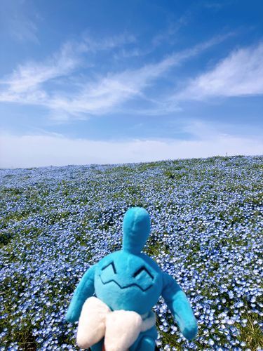 お花畑ナノ