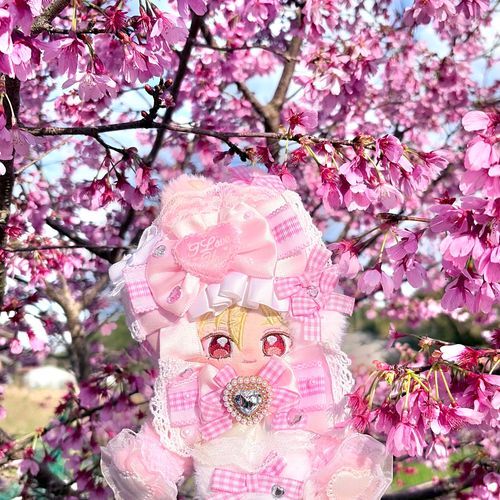 おはなみにいきました🌸