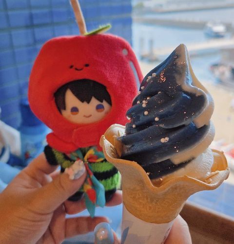 海遊館のジンベエソフトとマヒル🍎