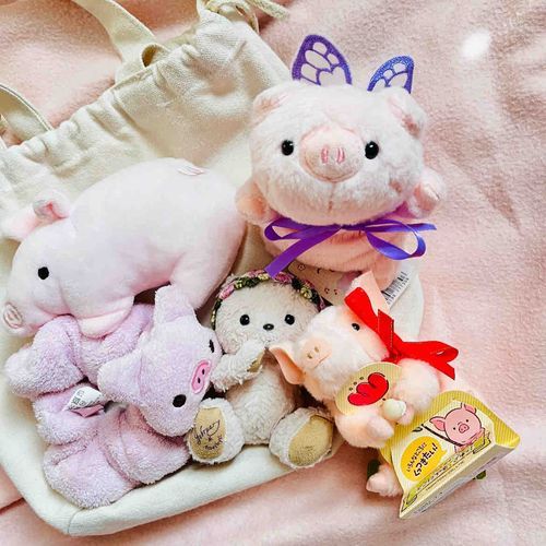 去年の12月にぬいフェスで出会ったぶたさん(シアの右隣で赤色のリボンしてる子)のお名前決まったよ❣️
お名前は「ピグ」ちゃんになったよ💖
いろんなところにくっつくのが好きなんだって💕これからピグちゃんもよろしくね🐖💞
