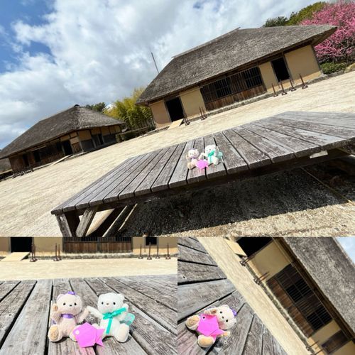 ひたち海浜公園お写真２枚目！


ここにはお花だけじゃなくて古いお家があったよ！！現代のお家とは違う雰囲気でなんだかワクワクしちゃった💓

お家の中に入ったらお魚さんの折り紙もらったよ（ご自由にどうぞだって✨）❣️いろんな色があったけどシアはピンク色にしちゃった🩷

ここで問題！このお魚さんはどうやって使うでしょう！！難しいかも🤭