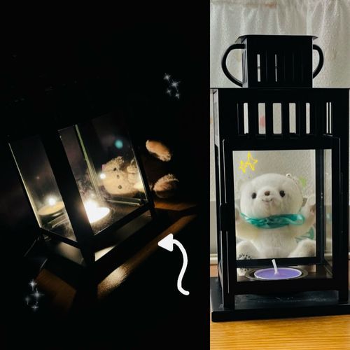 前のお写真せっかくのランタンが見にくかったから明るいところで撮ってみたよ📸そしたらメリちゃんも写りた〜い！って来ちゃったよ❣️キメ顔してた🤭
左はキャンドルに火を灯したとき🕯️✨ほんとはもっと素敵なんだけど暗いとどうしてもお写真上手く撮れなかったよ💦