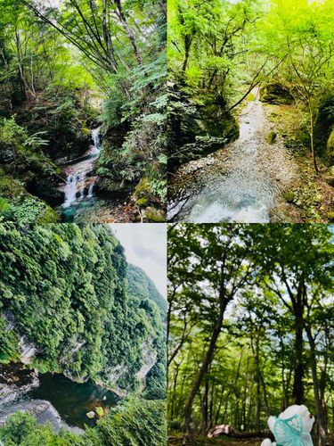 旅行のお写真２枚目！！

シア達自然をいっぱい感じてきたんだ🌳🌲🌳
川の近くに行くとすっごく涼しかったよ🏞️夏とは思えなかった✨
ただここに行く途中「熊に注意」の看板があって怖かったよ💦ふわもこのくまさんはふわふわで可愛いけど本物はキバとかあって怖いよね🦷😨

このお写真の中にメリちゃんいるんだ💚
みんなわかるかな🐻‍❄️🔍✨