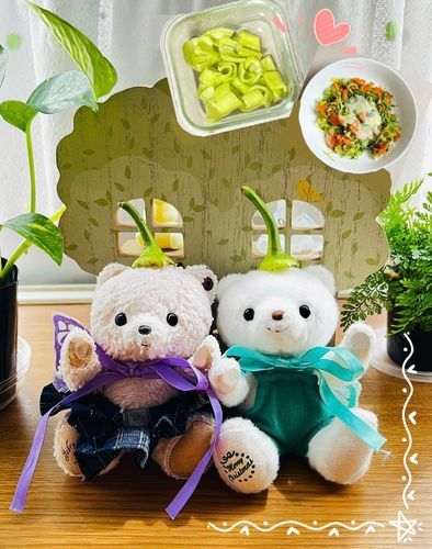 みんなお待たせ！！
お野菜のお名前は、、、

「バナナピーマン」でした❣️

右上はバナナピーマンをお料理したお写真なの🥘
シアたちはバナナピーマンの妖精さんになってみたよ🧚‍♀️🫑