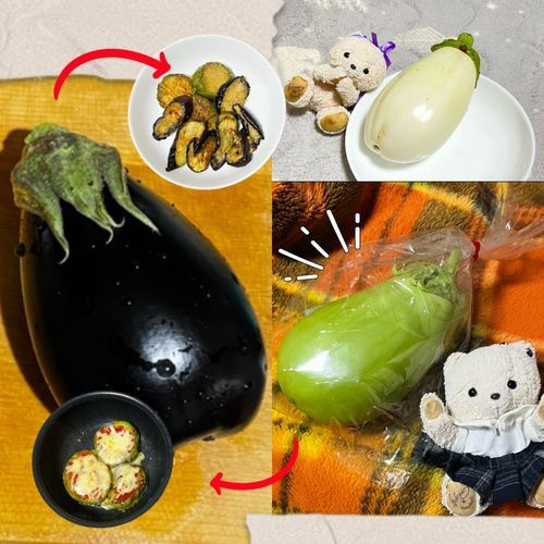 今年の夏はいろんなナスさんに出会ったよ❣️
シアが1番びっくりしたのは右下の緑色ナスさん🍆💚

全部とっても美味しかったよ😋💕

みんなはこのナスさんたち見たことあるかな？✨