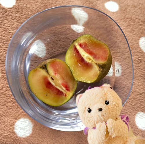 みんなお待たせ！！
答えは〜…

２.小さいキウイフルーツ
　　　　　　　　　でした🥝✨

シア初めて見たとき、「梨」か「りんご」だと思っちゃったよ❣️
中が赤色でびっくり🫢とっても甘くて美味しかったよ💖
※シアは合成だよ！最近お写真の加工方法わかってきたんだ📷✨