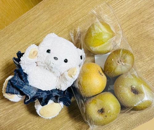 珍しい（？）果物発見🔍👀！！

シアより小さいの✨でもきっとみんな知ってる果物なんだ❣️

ここで問題💡この果物はなんでしょう✨

1.小さい梨🍐
2.小さいキウイフルーツ🥝
3.小さい青リンゴ🍏

みんなぜひぜひ考えてみてね💭
答えは次の投稿で🔜