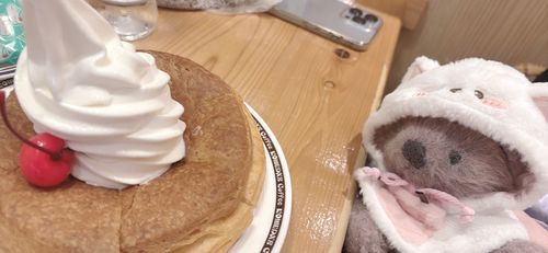 ふわふわサクサクで美味しかったなぁ〜