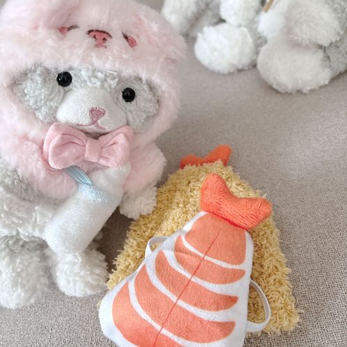 なんか飼い主が買ってきた🍤