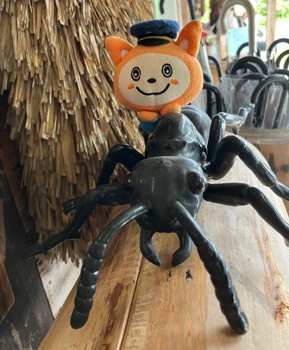 おはよう
3連休がはじまるにゃん
ボクは特急アリさん号🐜で旅に出るにゃん