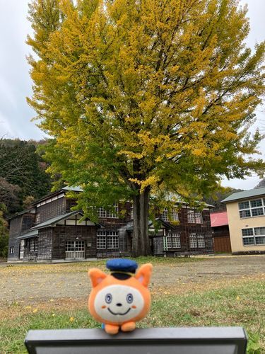 ステキな小学校に行ってきたにゃん