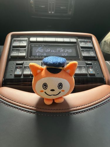 マッサージ付の車に乗ったにゃん
社長気分でウトウトにゃん
