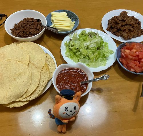 セルフタコスにゃん🌮