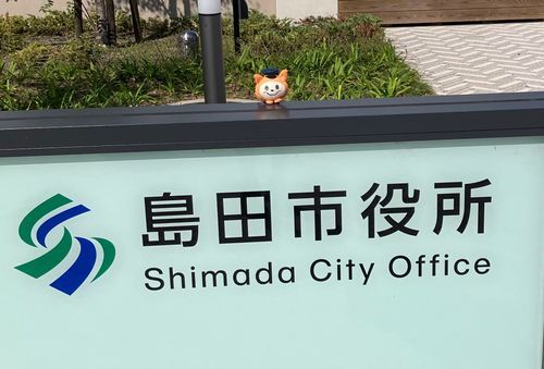 お散歩してたら市役所発見にゃん