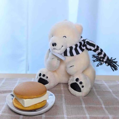 どら焼きがあったとしても サンドイッチを選ぶだろう
#メルヘン #メルるん #しろくま #くま