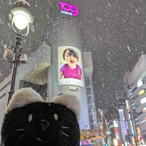昨日は寒かったですね。
雪の予報の中出かける予定だったので、黒ねこッカちゃんを連れて。
白ねこッカちゃんだったら景色に同化してたかもと思うくらい景色が白かった。

#ねこッカちゃん #junkfoodopera 