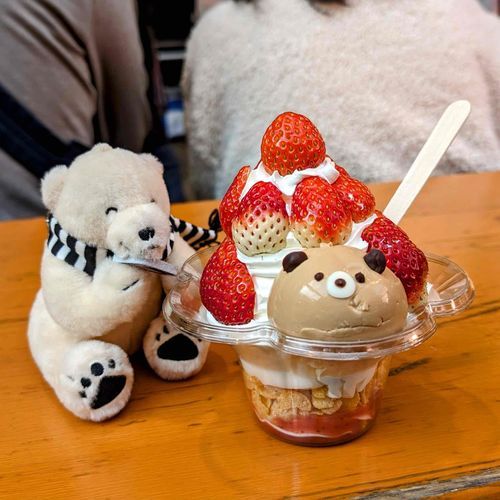 同じクマ同士仲良く撮影！

#メルヘン #メルるん #しろくま #くま