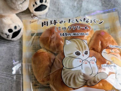 ねこの日🐈🐾
肉球ちょっと違うね

#メルヘン #メルるん #しろくま #くま